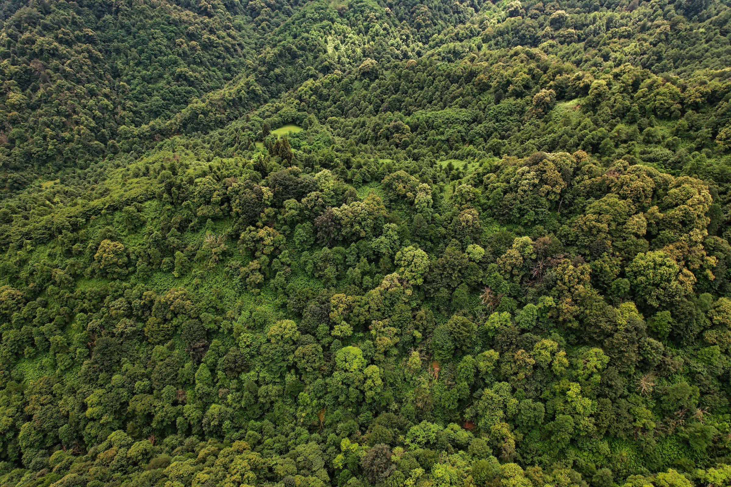 Forested mountain landscape stretching toward the horizon